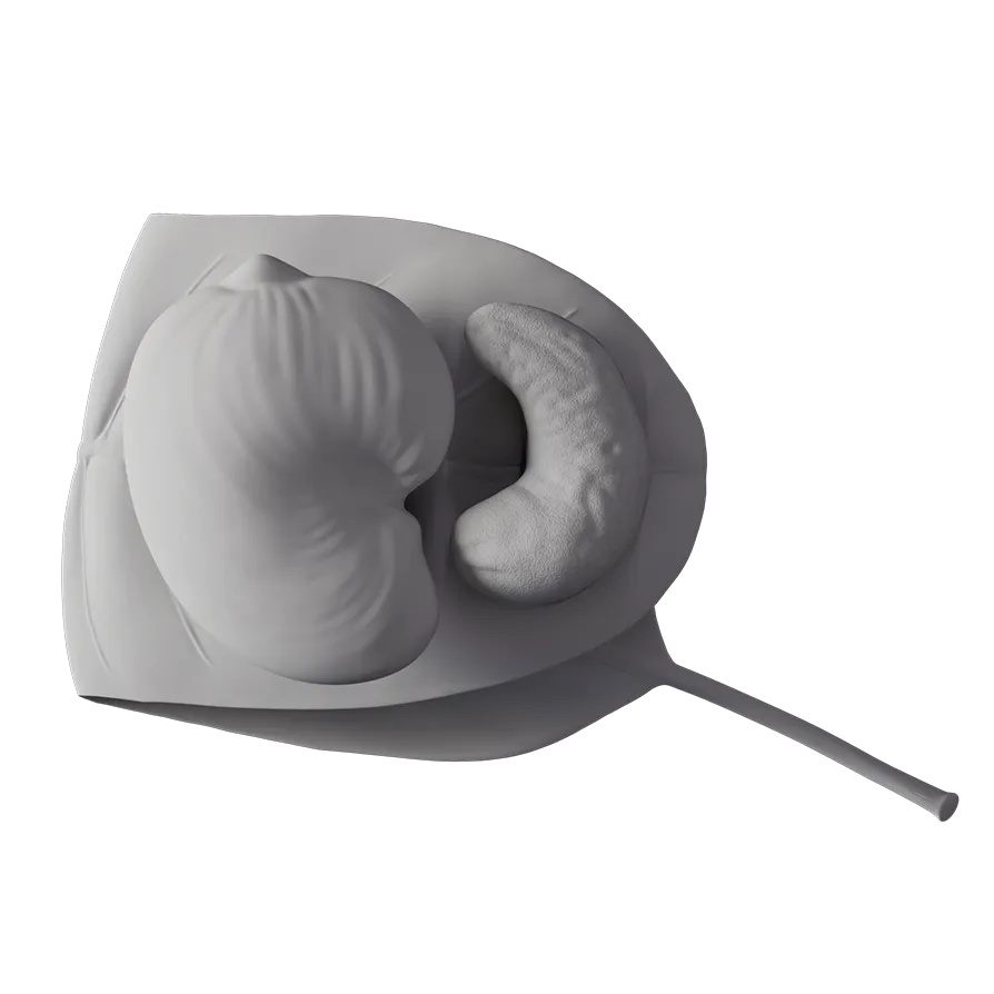 Flat render of MONKI BIO Cashew butter