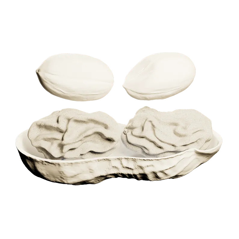 Flat render of MONKI BIO Peanutbutter with raisins