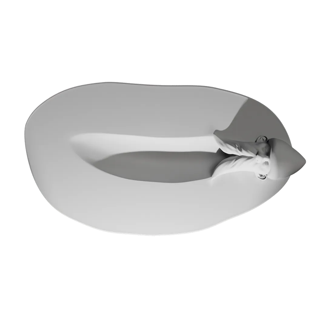Flat render of MONKI BIO Peanutbutter crunchy