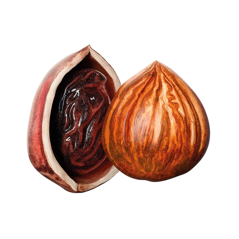 Beauty render MONKI BIO Hazelnut butter with raisins