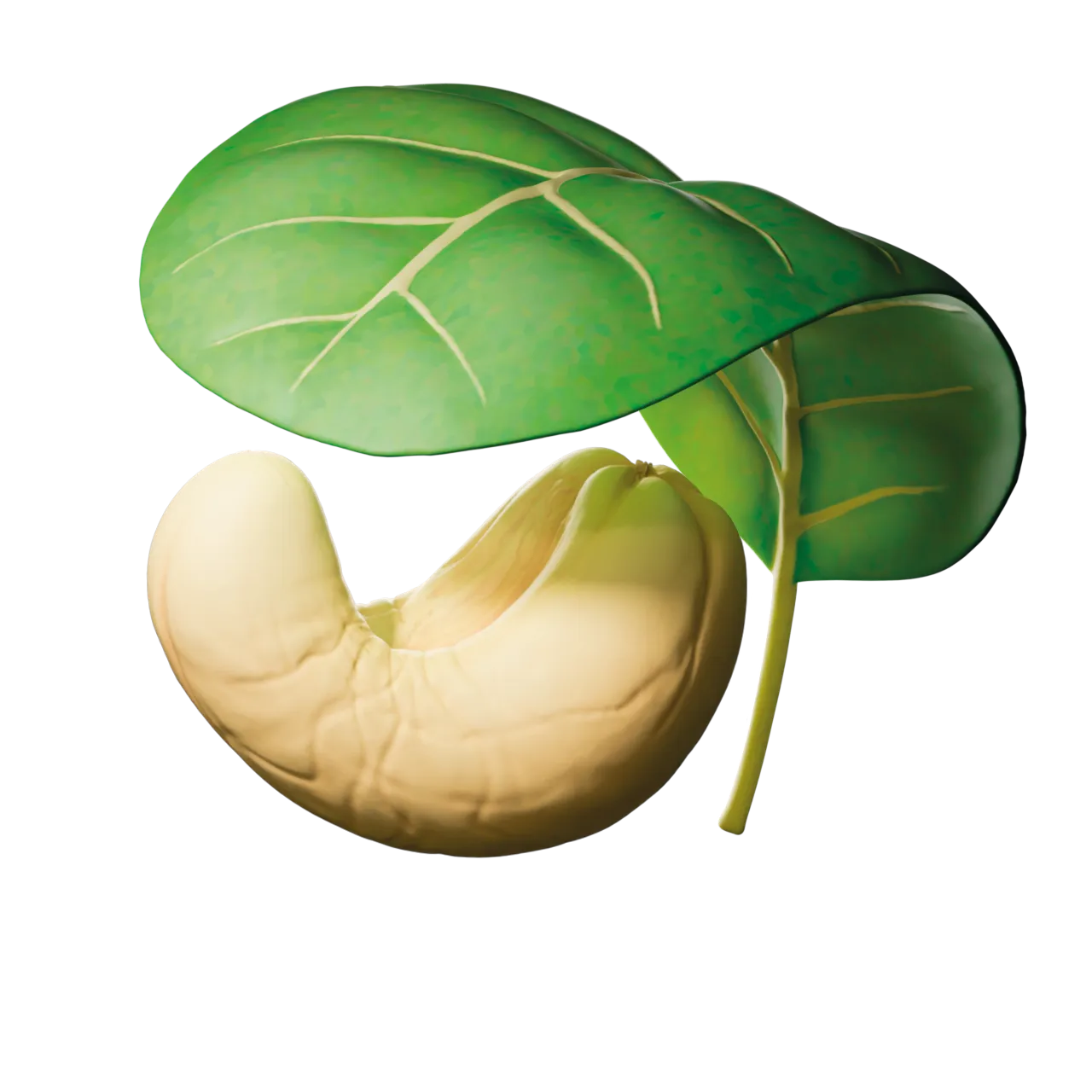 Beauty render MONKI BIO White cashew butter